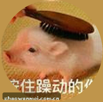 张涛